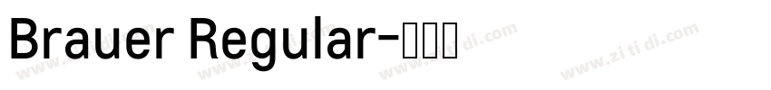 Brauer Regular字体转换